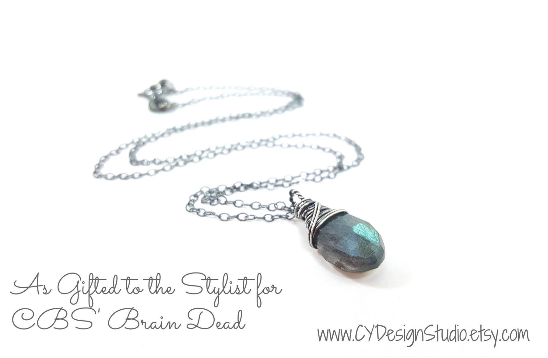 BrainDead (CBS, 2016) – Labradorite Briolette Oxidized Silver Necklace Submission