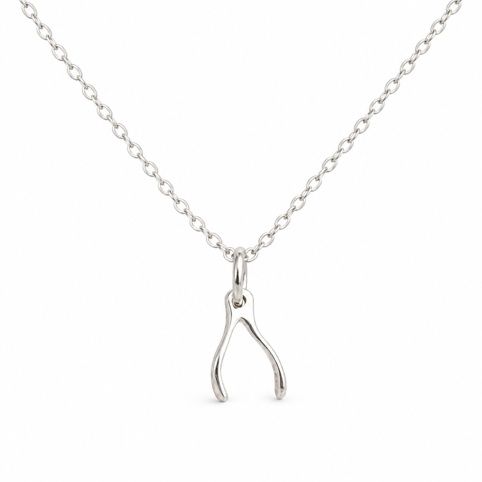 Sterling Silver Tiny Wishbone Necklace