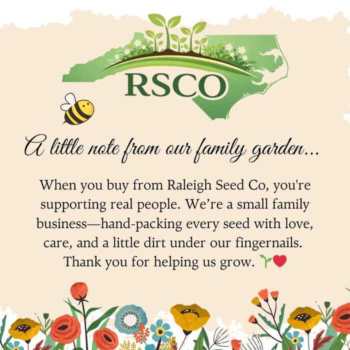 Seeds of Gratitude 25 Pack • Thank You Seed Packets • Wildflower Seed Favors