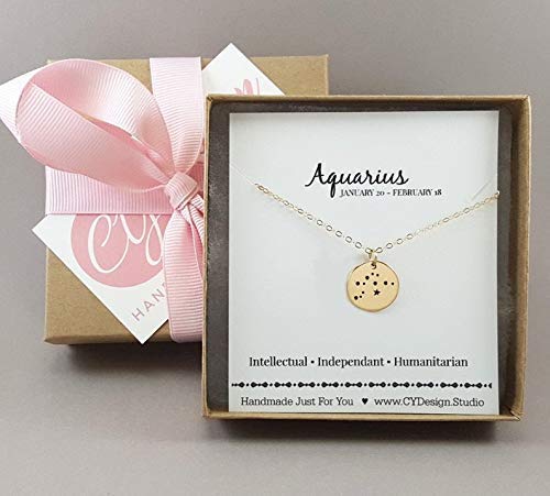 Aquarius Zodiac Necklace – Bronze Constellation Pendant on 14K Gold Filled Chain, Astrology Jewelry Gift