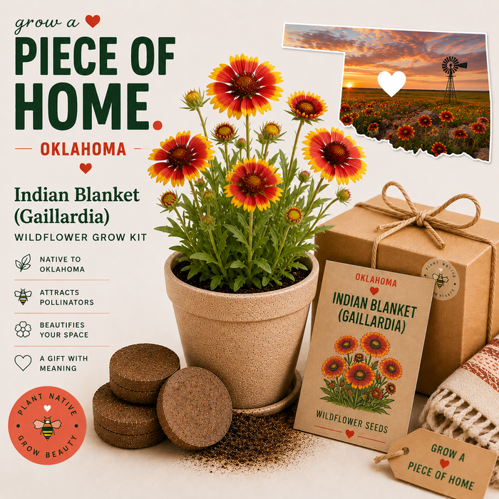 Oklahoma Indian Blanket Wildflower Grow Kit