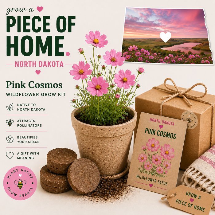 North Dakota Pink Cosmos Wildflower Grow Kit