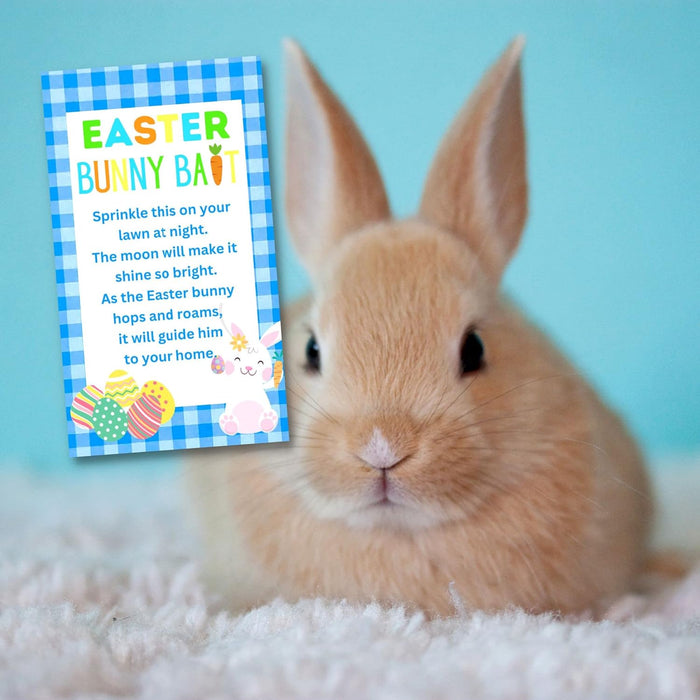 Easter Bunny Bait Gift Bag with Bird Seed | Non-Candy Easter Basket Filler