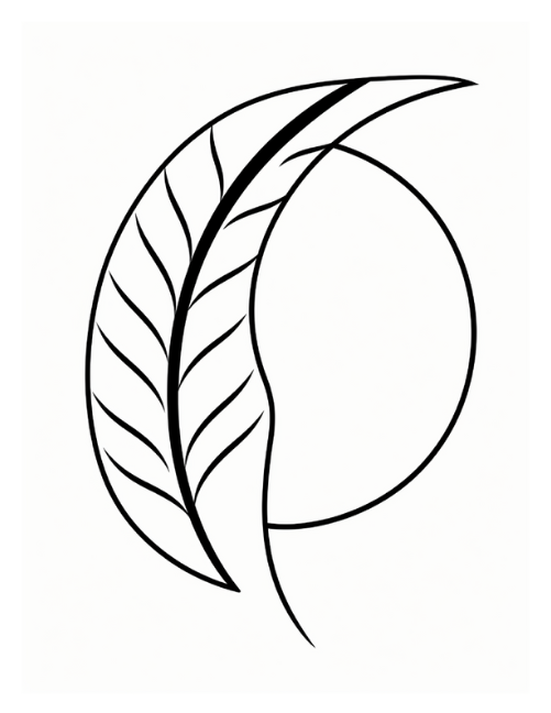 Line & Leaf – 100 Boho Minimalist Coloring Pages (Instant Download PDF)