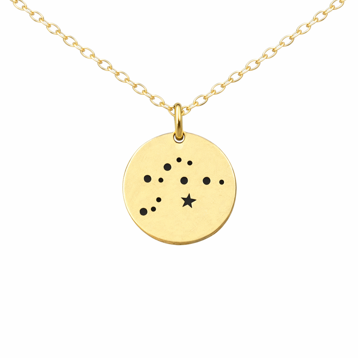 Aquarius Zodiac Necklace – Bronze Constellation Pendant on 14K Gold Filled Chain, Astrology Jewelry Gift