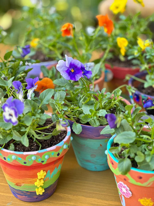 Blooming Garden Party Experience