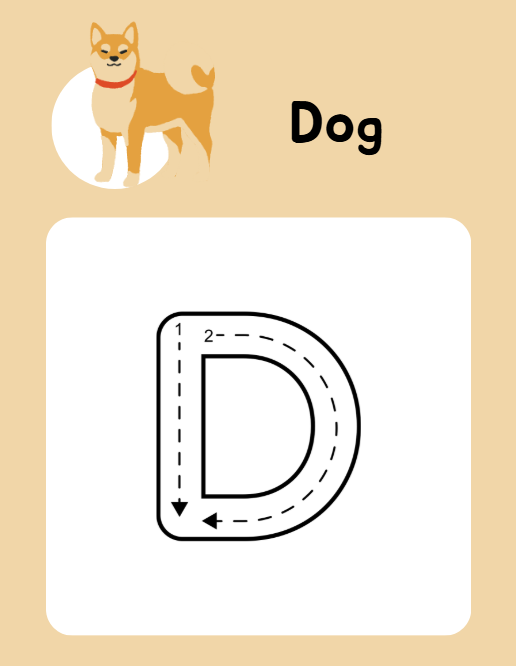 Animal A-Z Tracing Workbook Canva Template