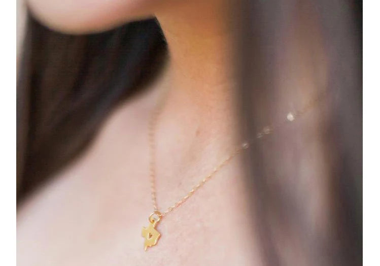 Texas State 14k Gold Filled Necklace