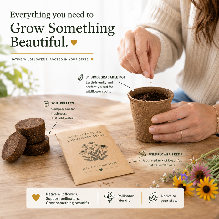 Plant Love Grow Kit