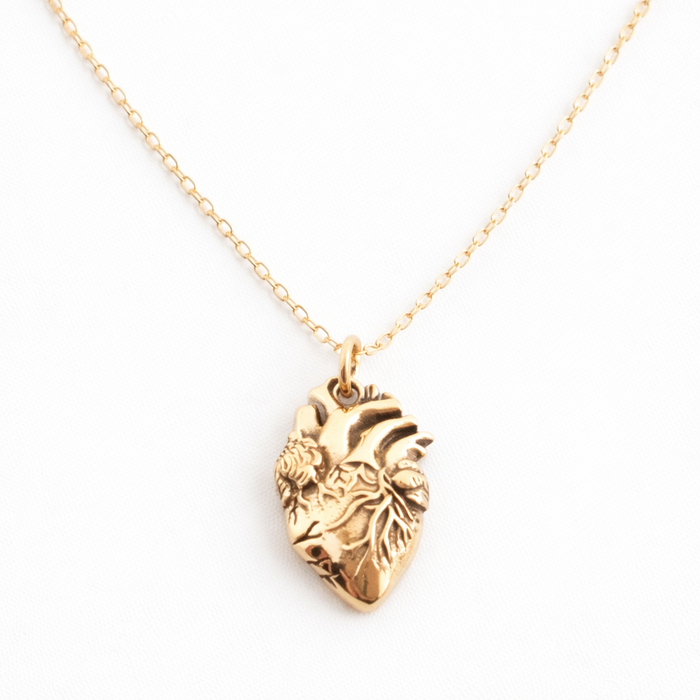 Anatomical Heart Charm 14k Gold Filled Necklace