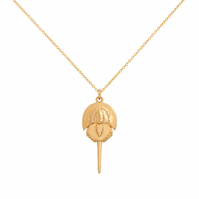Horseshoe Crab Necklace | Bronze Coastal Pendant on Gold Filled Chain