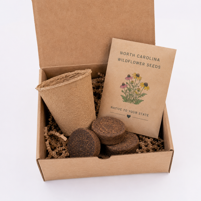 Kansas Sunflower Grow Kit