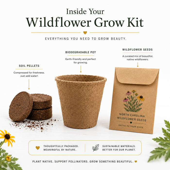 Kansas Sunflower Grow Kit