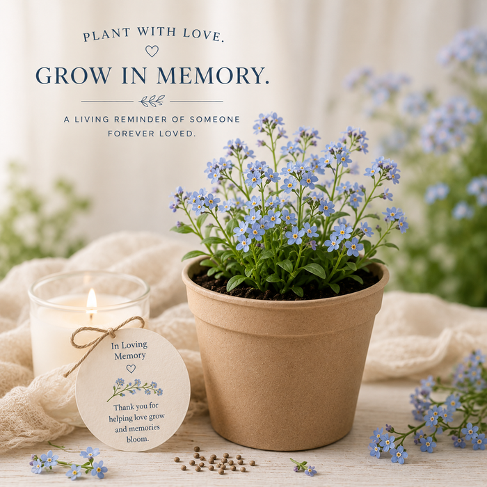 Forget Me Not Memorial Grow Kit