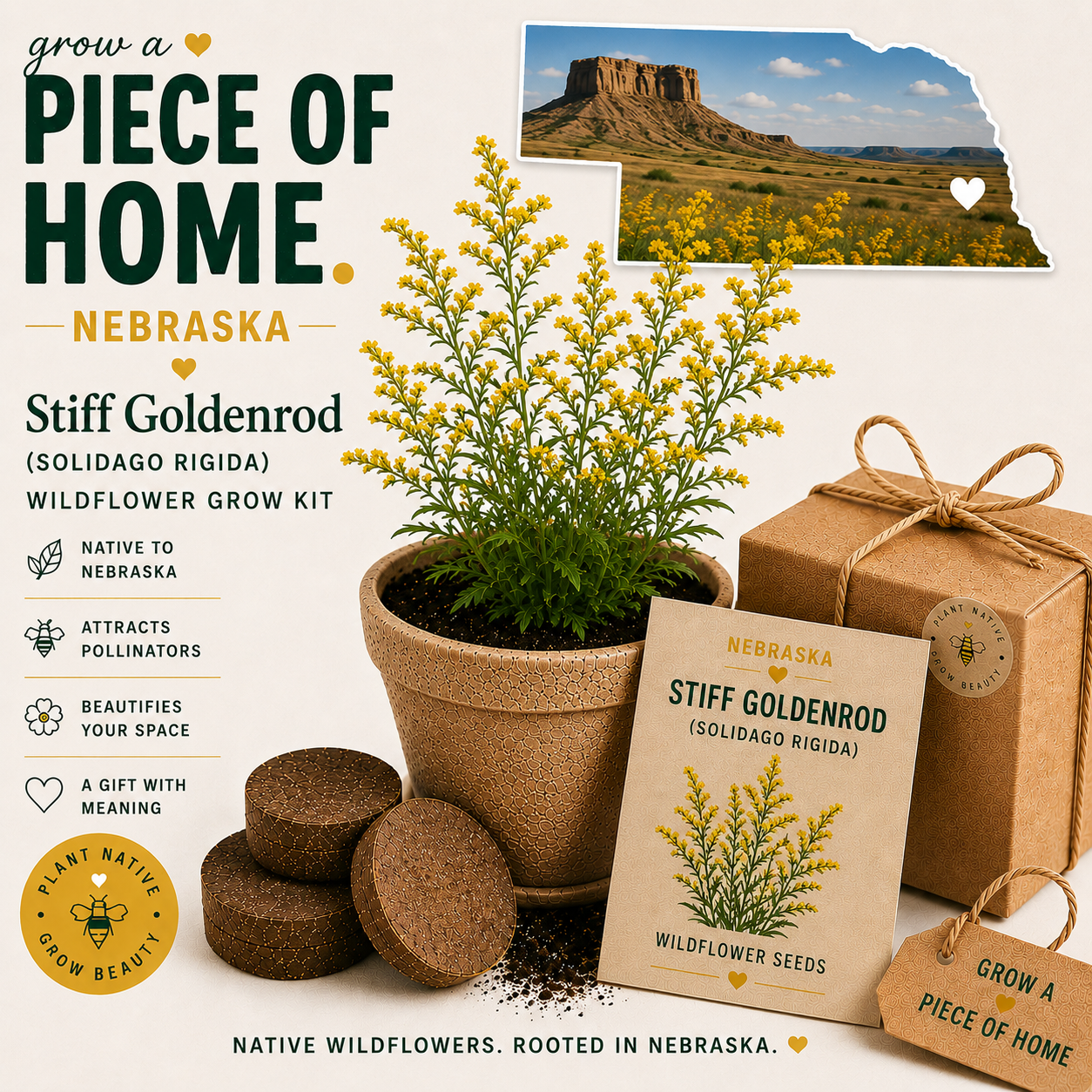 Newest Products