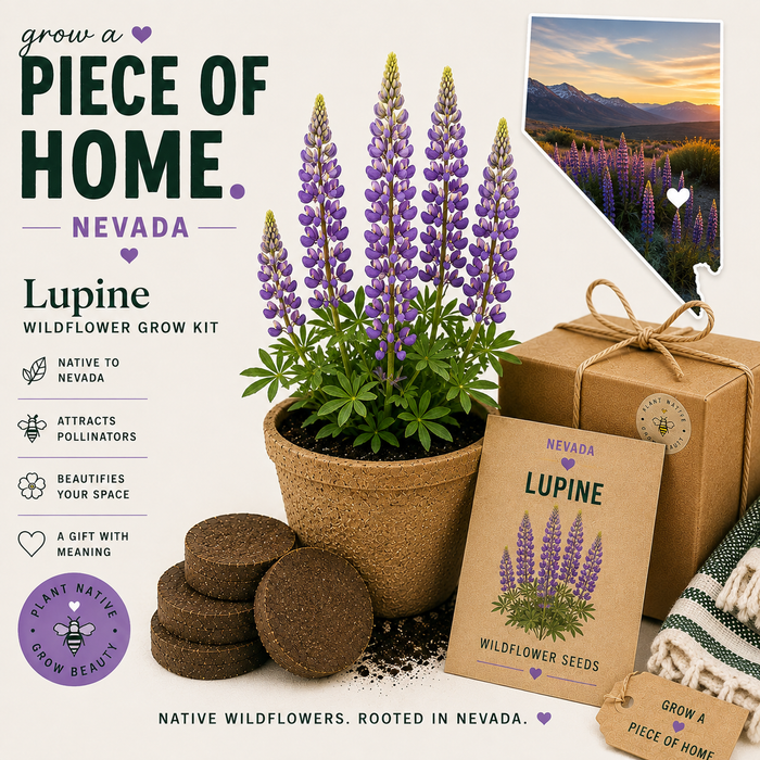 Nevada Lupine Grow Kit