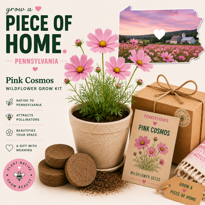 Pennsylvania Pink Cosmos Wildflower Grow Kit