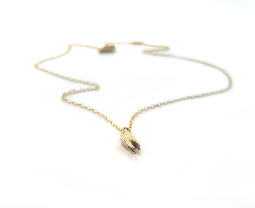 Tiny Tooth Charm Necklace - 14k Gold Filled Jewelry - Handmade Necklace