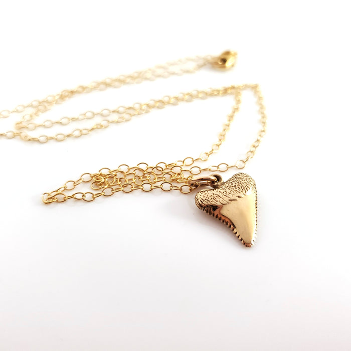 Shark Tooth Gold Charm Necklace - Dainty 14k Gold Filled Jewelry